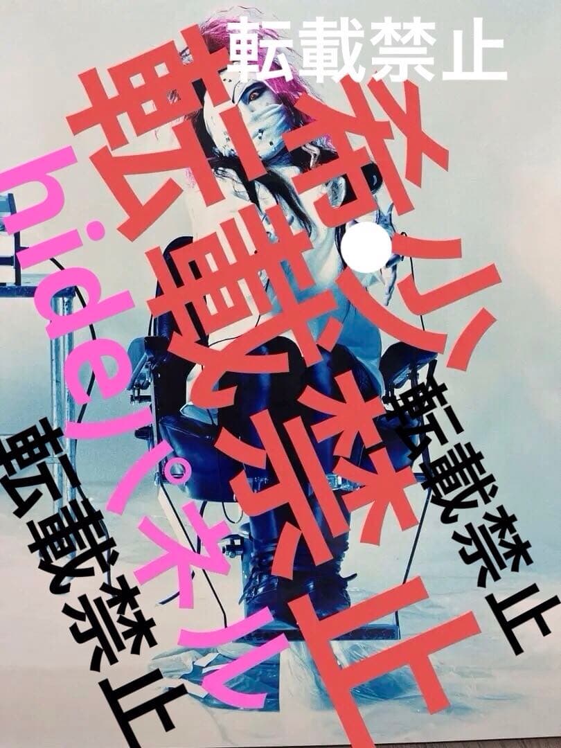 W*s様 【10月限定値下】レアhideグッズ　　写真パネル