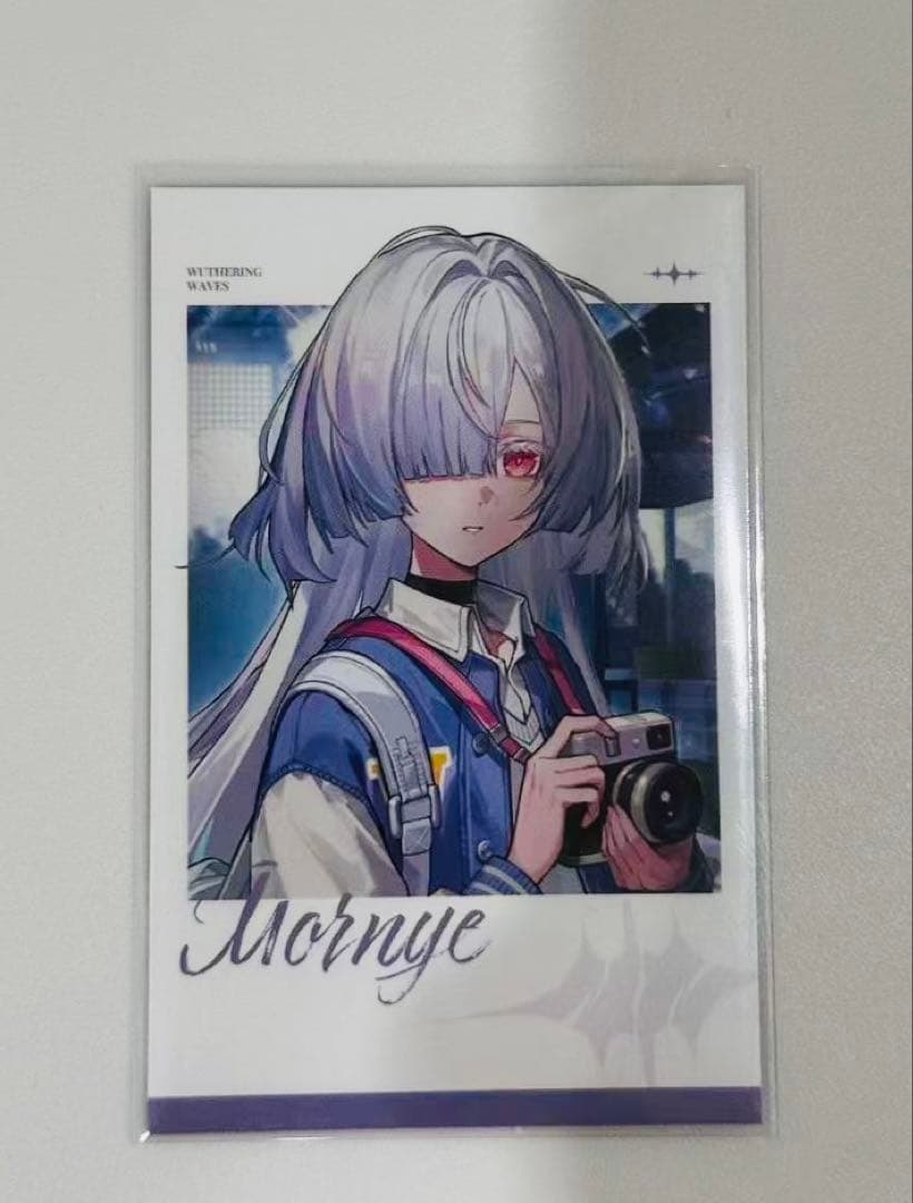 韓国限定 鳴潮 キャンパス モーニエ ポラロイドカード