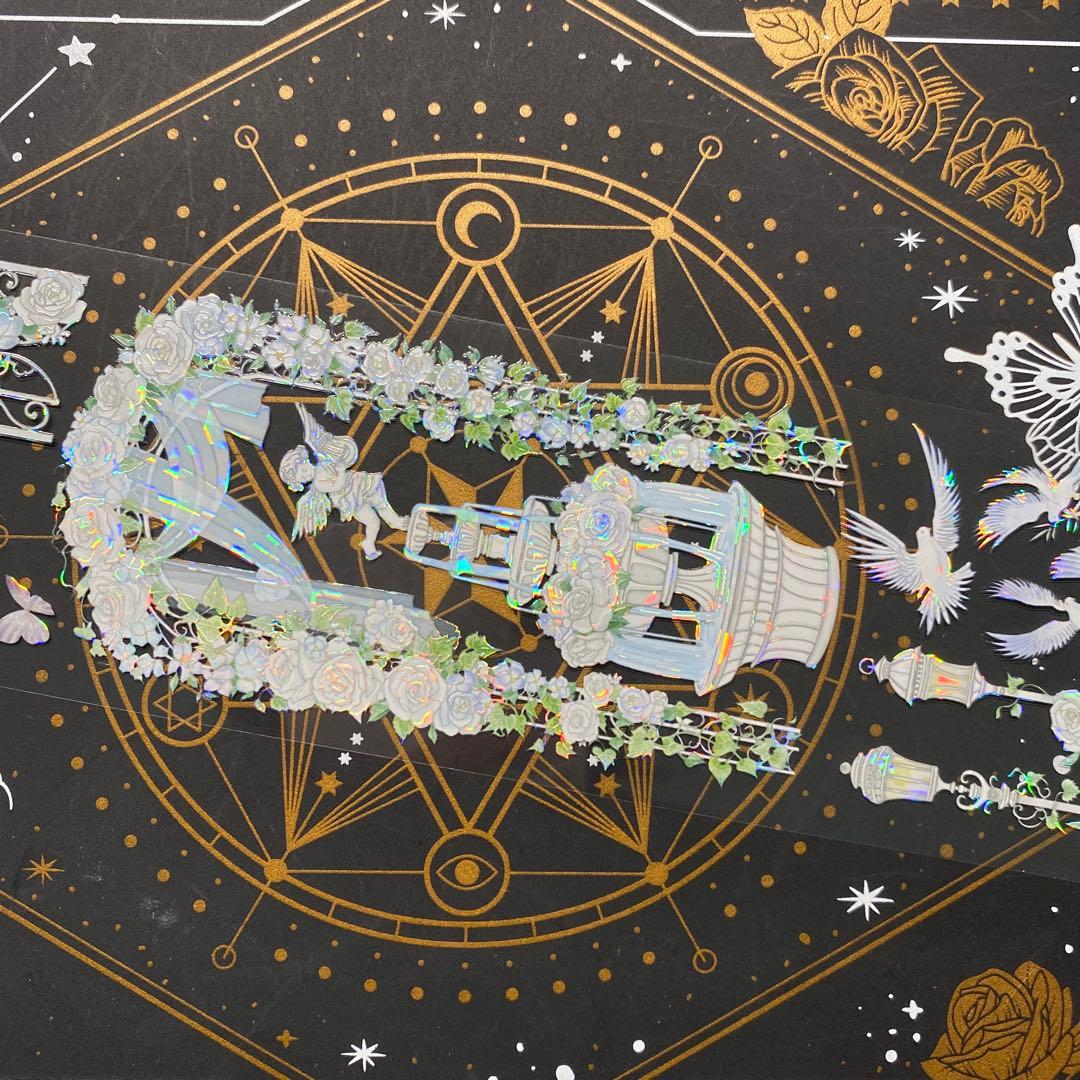 【9189】海外　マステ中古巻　貝殻光マスキングテープ　お花　ガーデン　残量多め