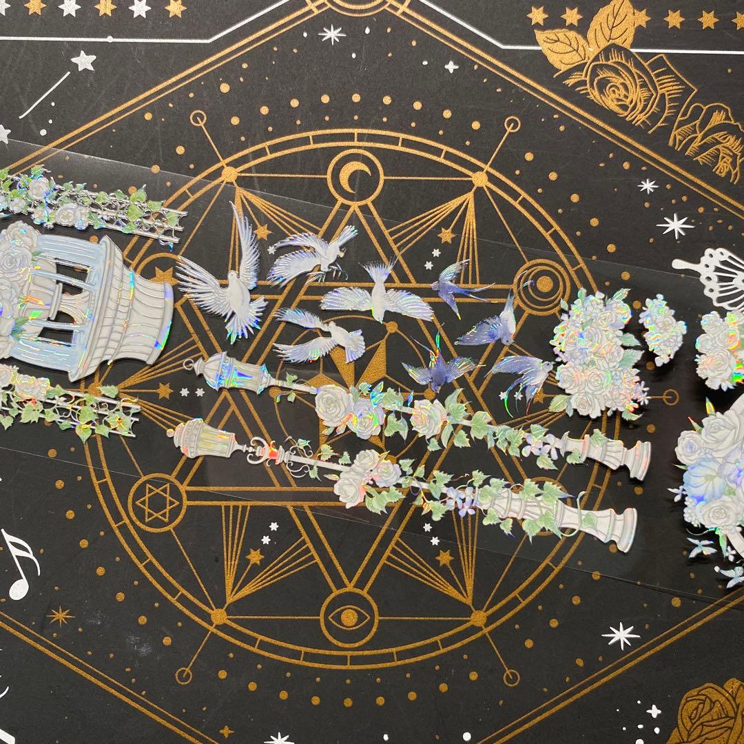 【9189】海外　マステ中古巻　貝殻光マスキングテープ　お花　ガーデン　残量多め