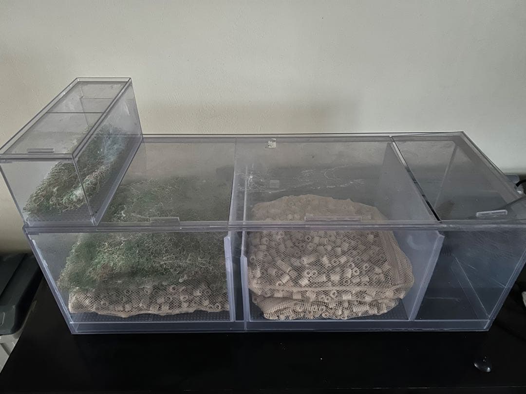 引き取り限定　オーバーフロー濾過層　900.350.300