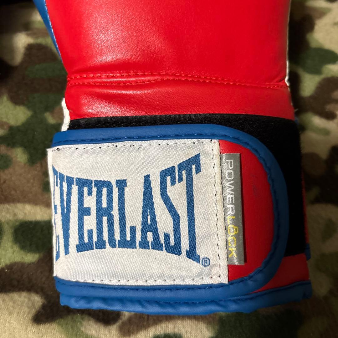 EVER LAST エバーラスト　グローブ　14oz 送料無料