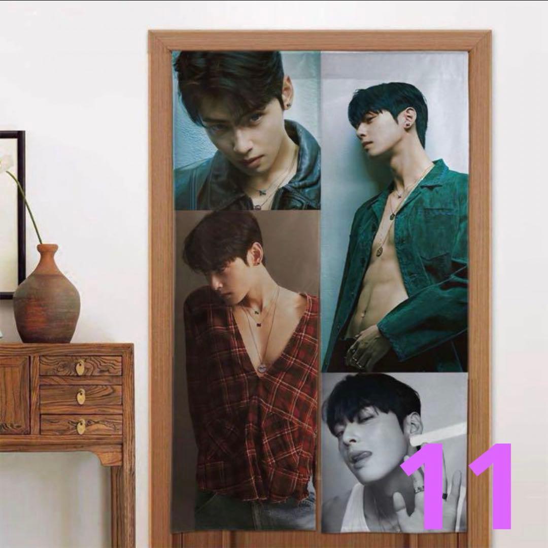 チャウヌ　ドアカーテン1〜11