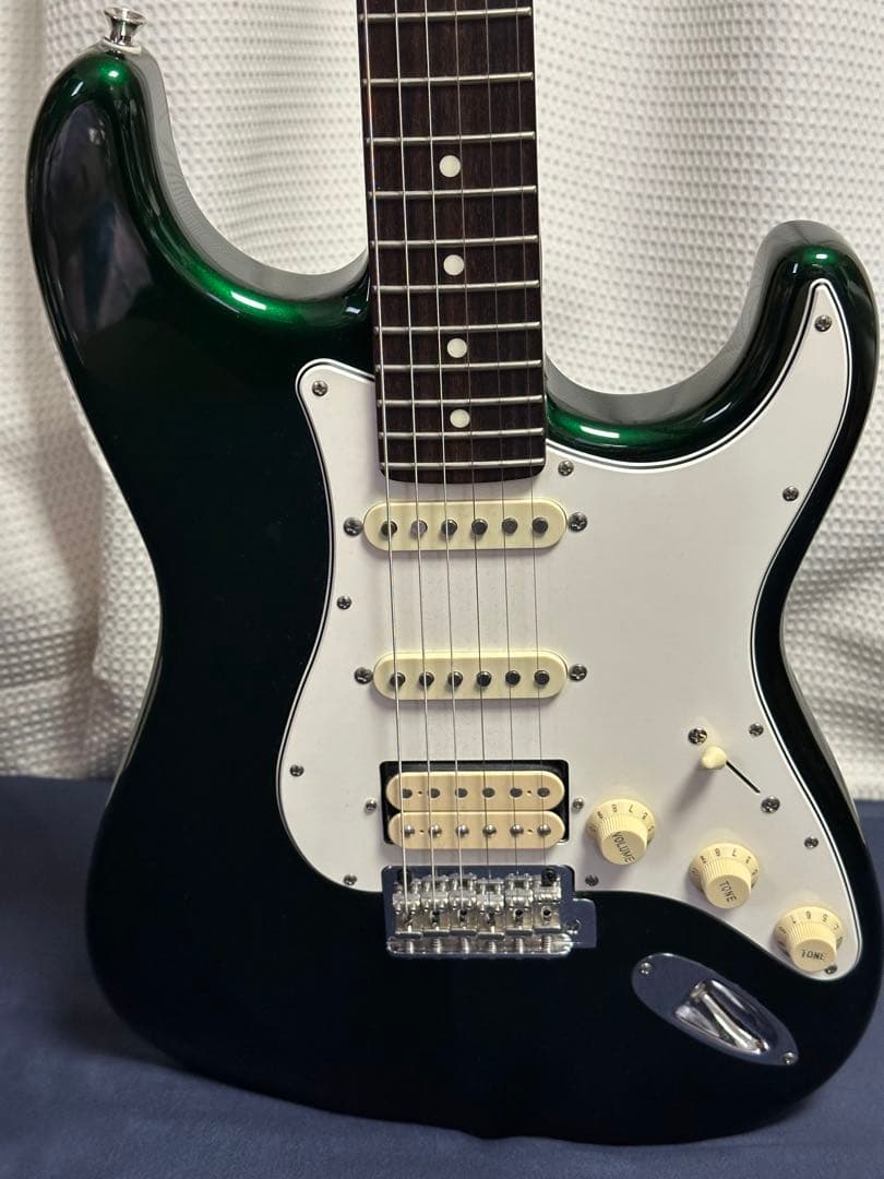 Fujigen フジゲン NST11 RAL-CAG