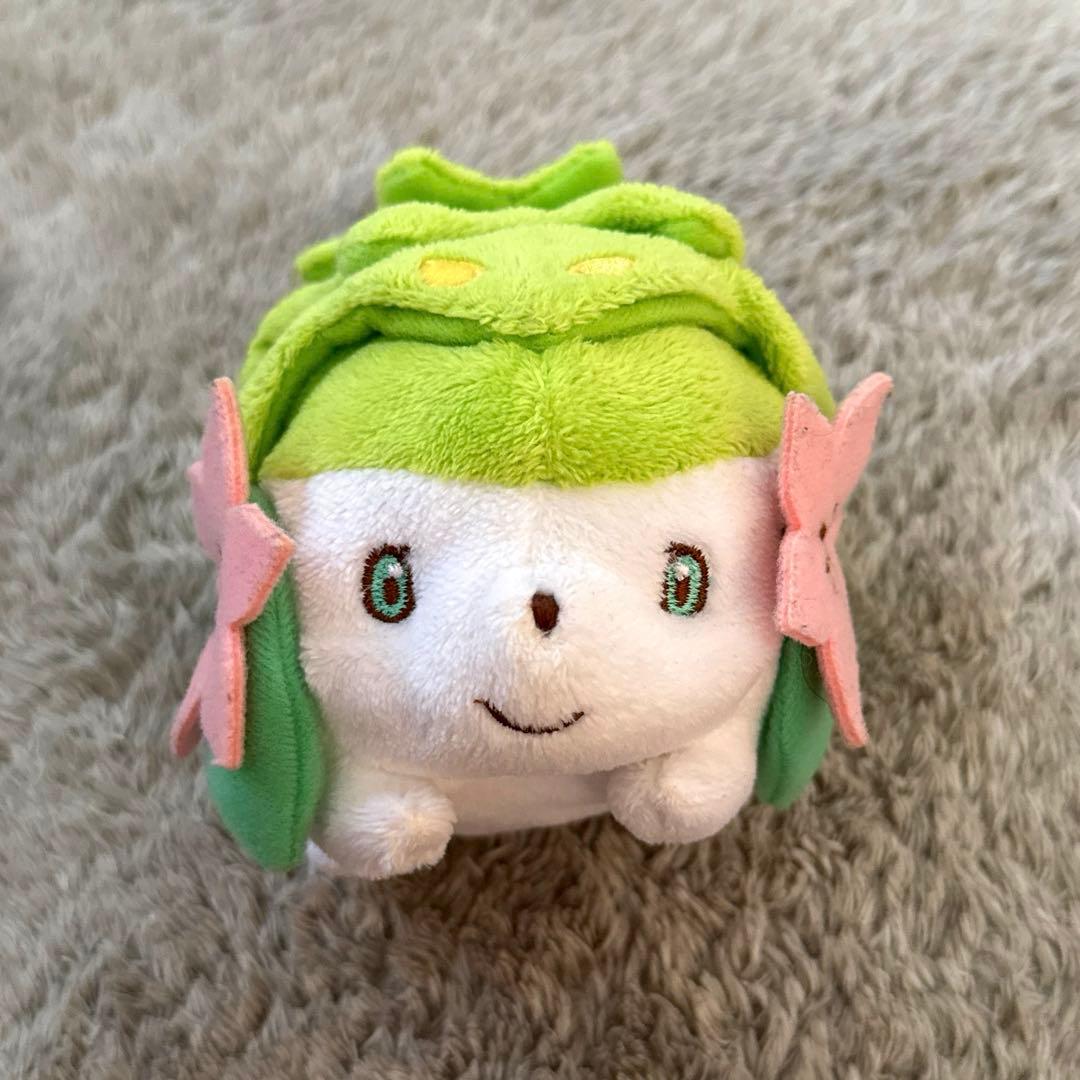 ポケモンキャンバス シェイミ ぬいぐるみ