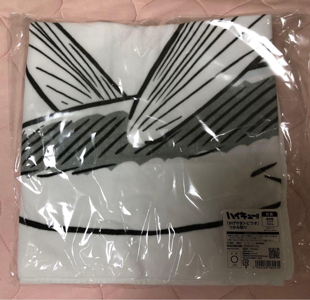 ハイキューファンパーク　かげやまトビウオ　つかみ取り　B賞　魚拓風ビックタオル