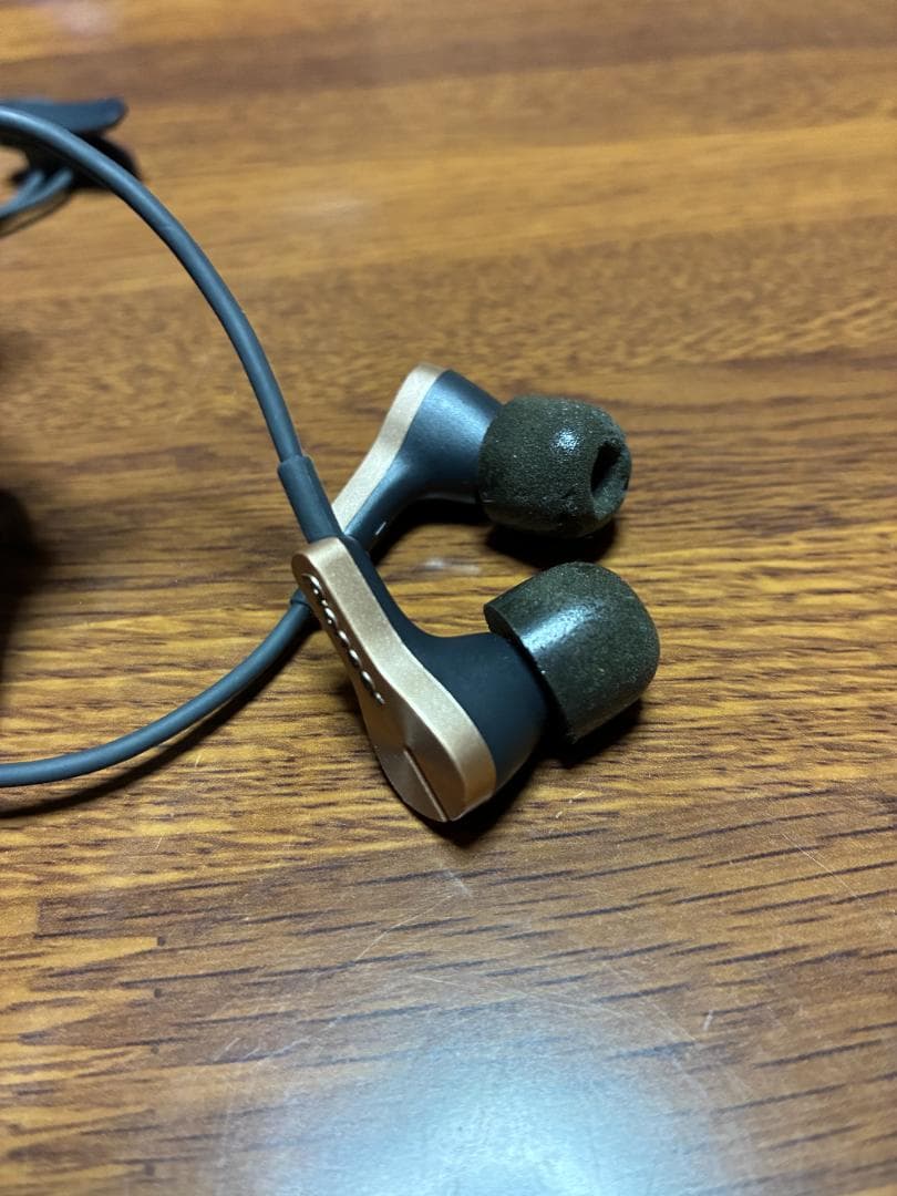 Pioneer RAYZ PLUS 有線イヤホン