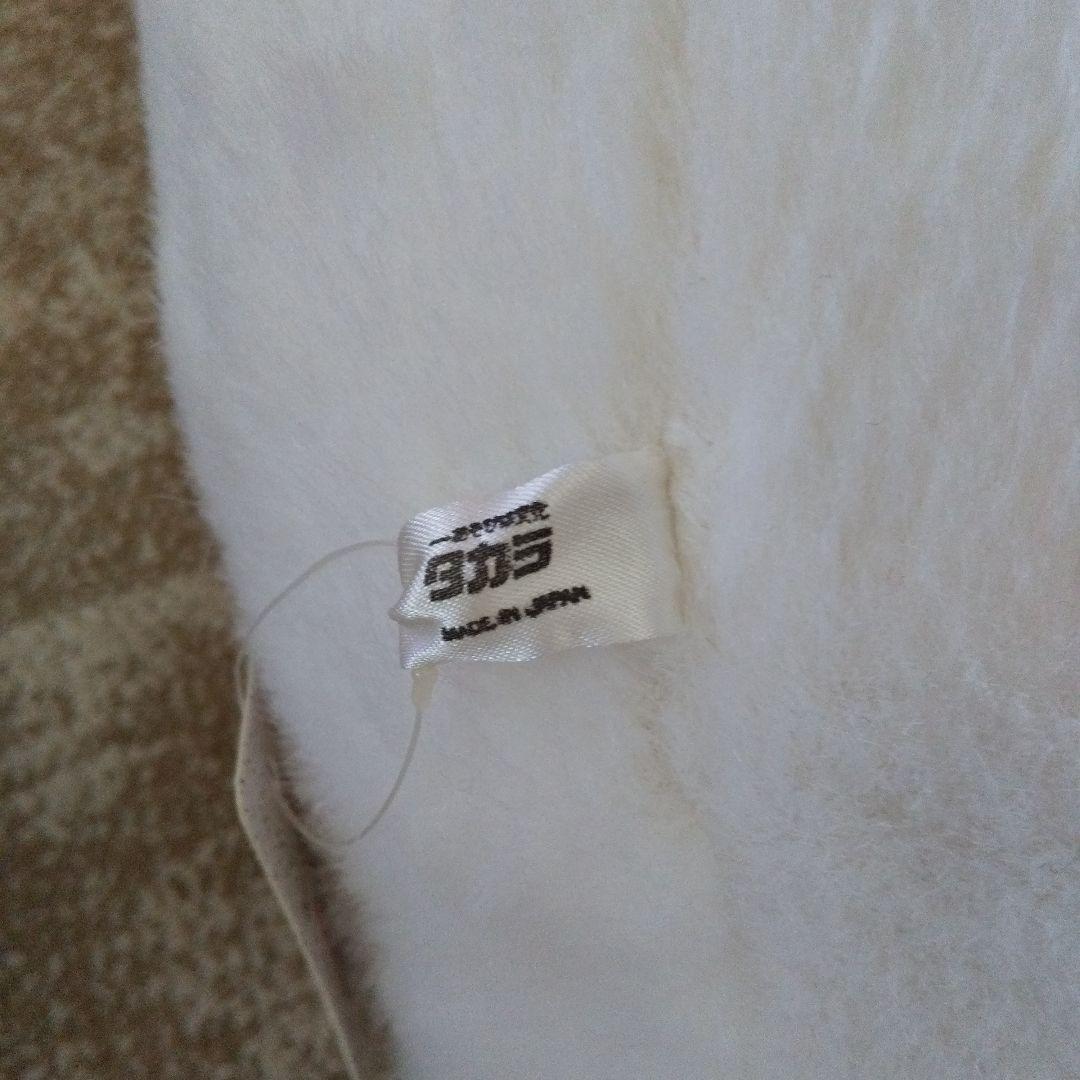 ねこねこゴマちゃん