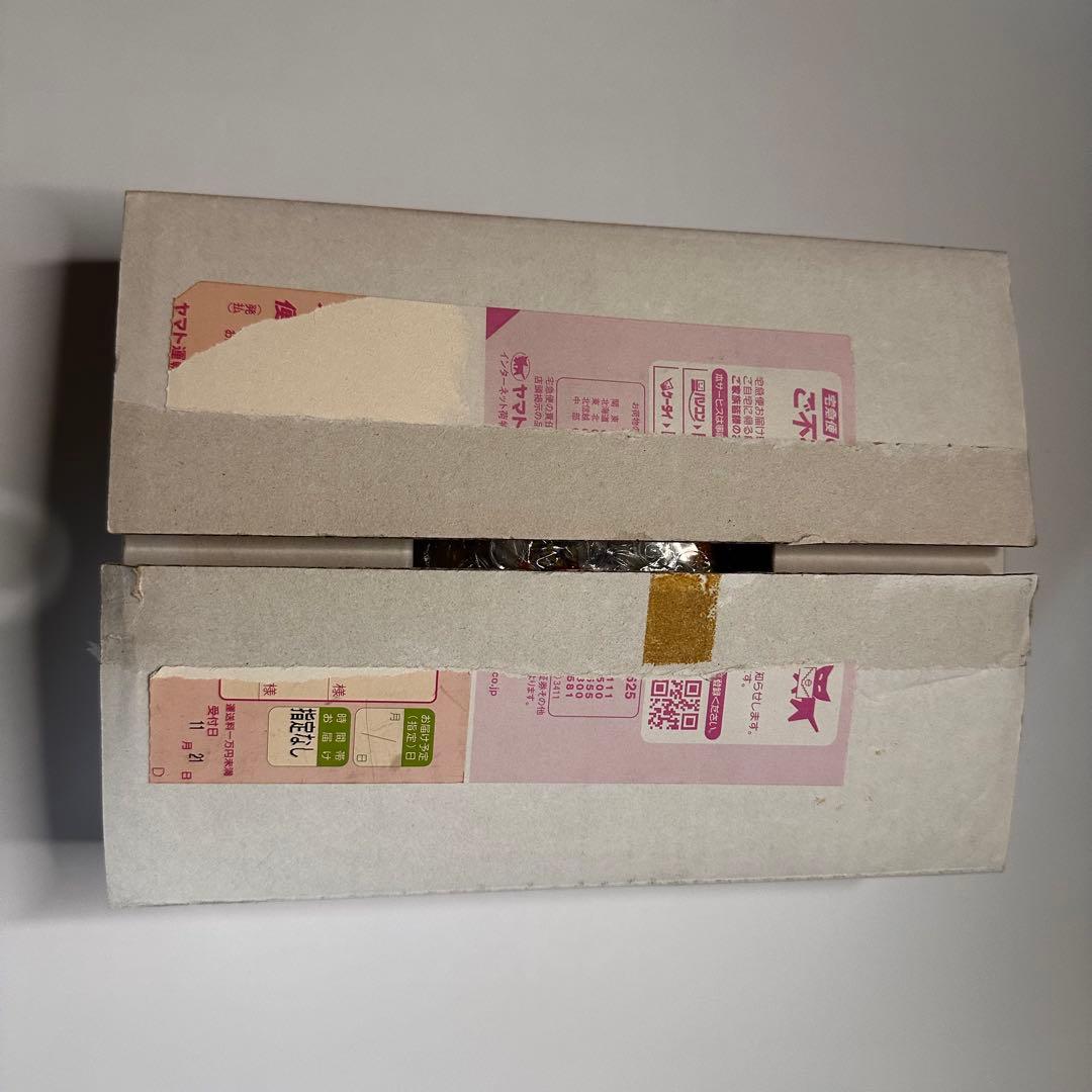 【新品未開封】ウラじんせーエンジョイ! たまごっちプラス★非売品★JALほわいと