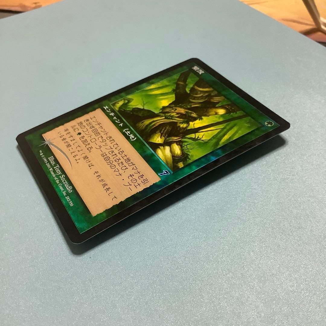 繁茂/Wild Growth  7ED日本語foil