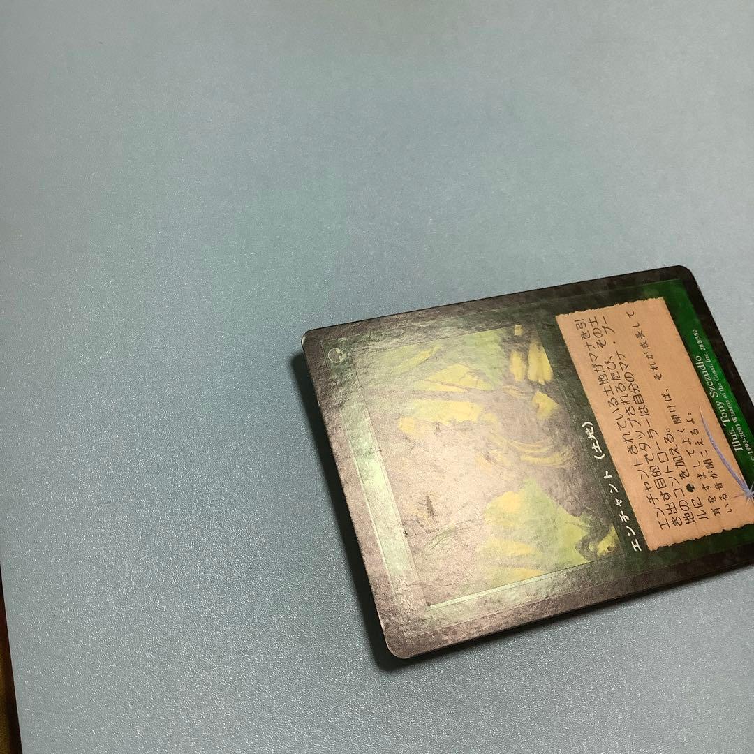 繁茂/Wild Growth  7ED日本語foil