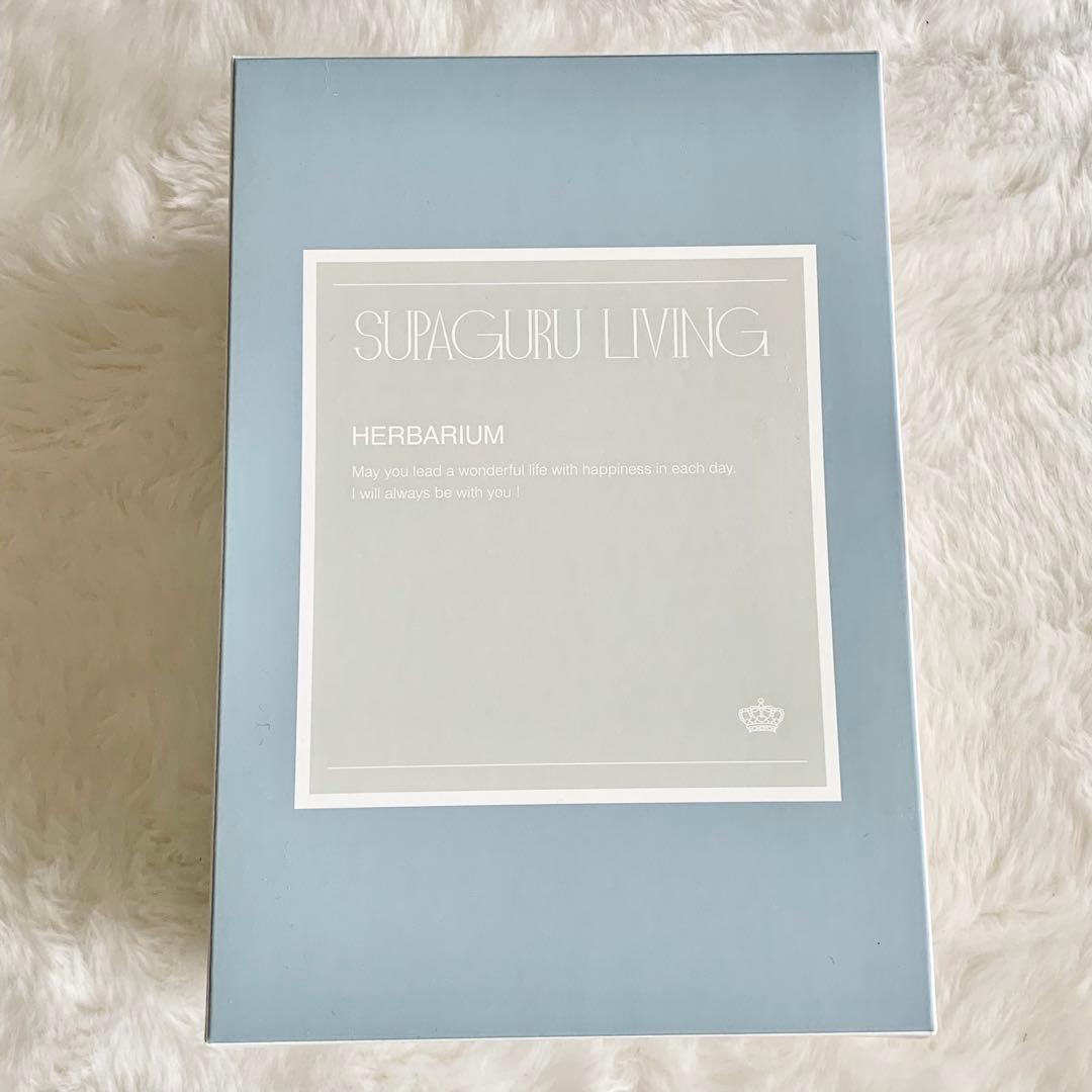 【APヘタリア】イギリス モデル ハーバリウム WORLD⭐︎STARS