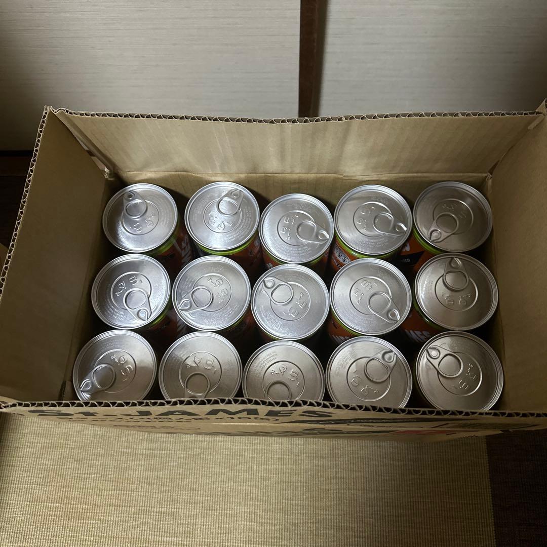 DUNLOP St.JAMES テニスボール 15缶セット