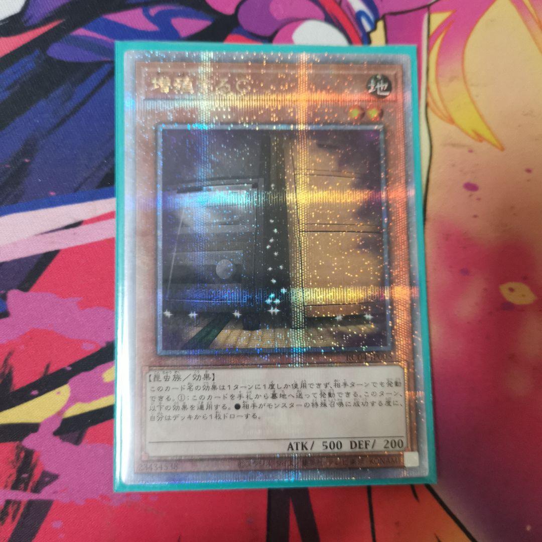 遊戯王 増殖するG 25thシークレット クオシク