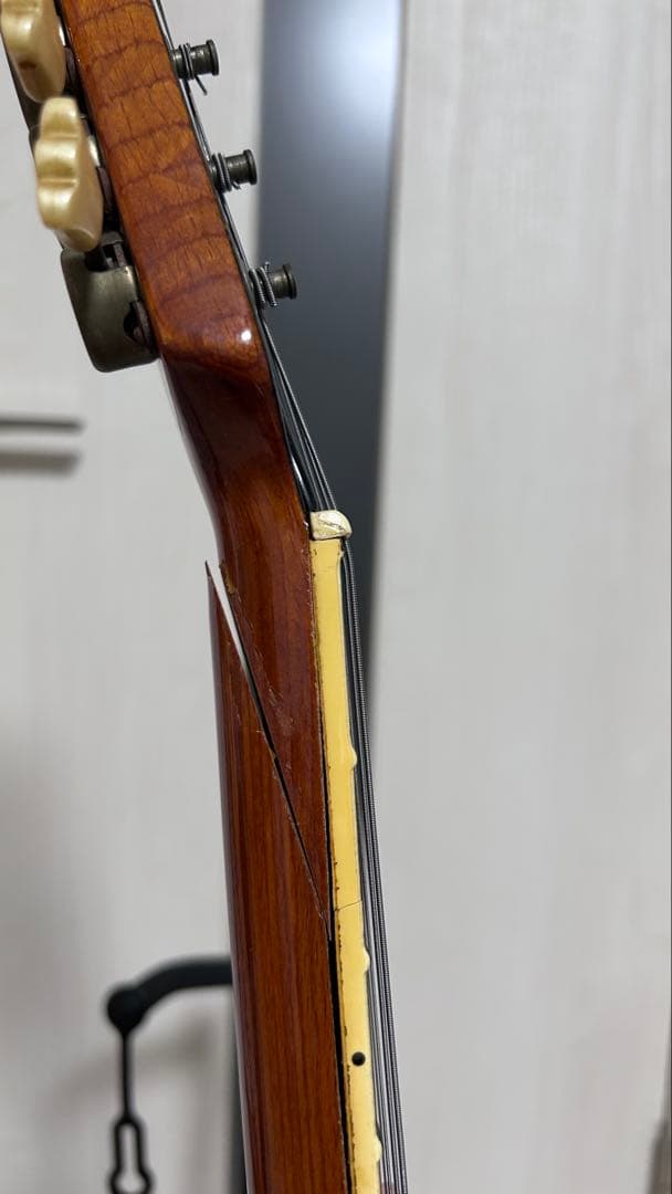 Framus Television ジャンク　ドイツ製　フルアコ　ビザール