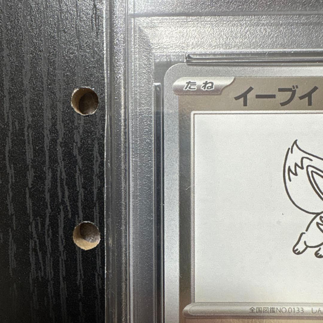 ニ*夜様 竹*花様 高騰【PSA10】NAGABAイーブイ