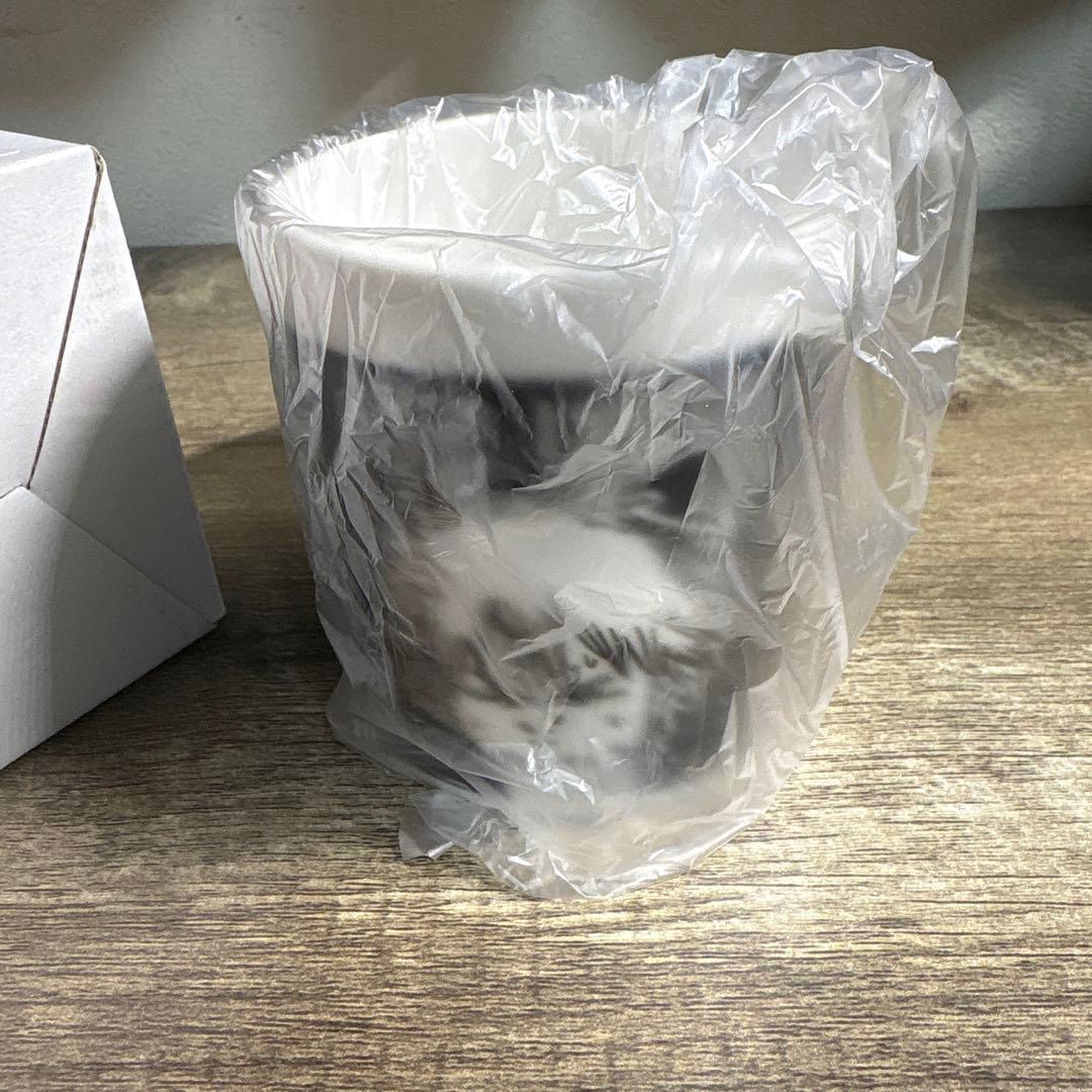 チェンソーマン BB4-JF マグカップ　デンジの妄想温感マグ　レゼ　マキマ