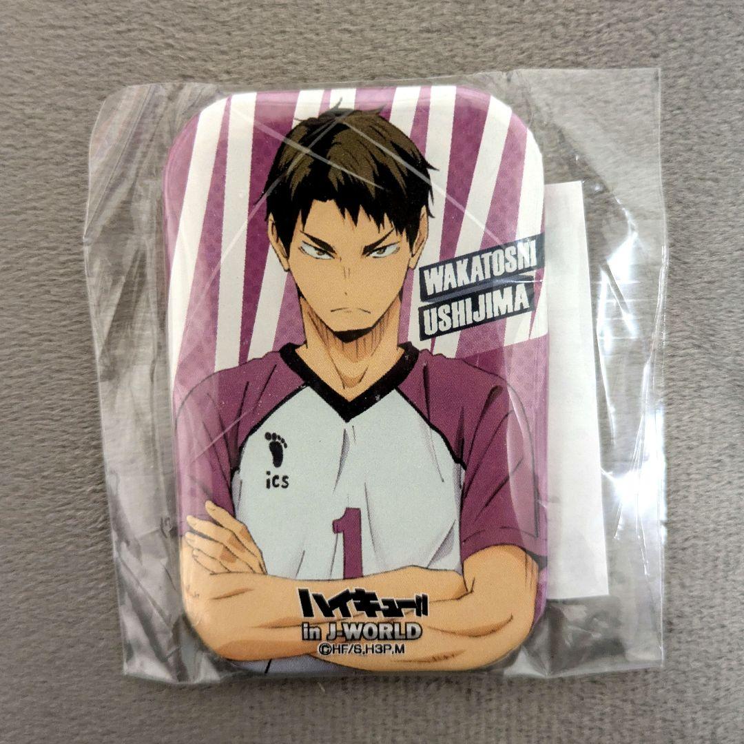 ⚠希少品 ⚠未開封 ⚠凹み有　ハイキュー‼　牛島若利　カド丸 缶バッジ