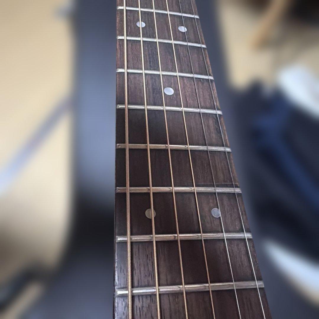 S.Yairi YD401 訳あり