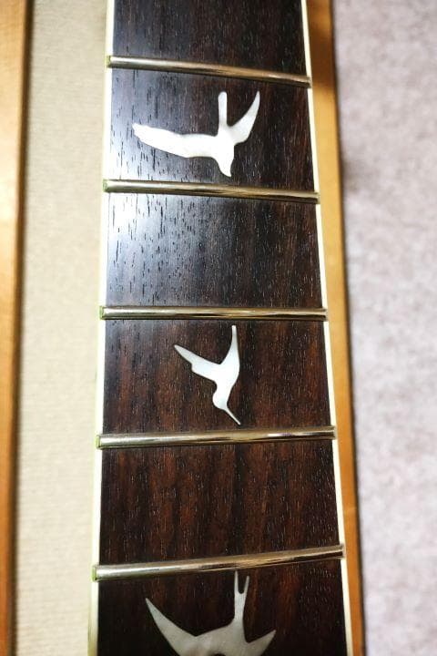 PRS SE ZACH MYERS　ザック・マイヤーズ モデル