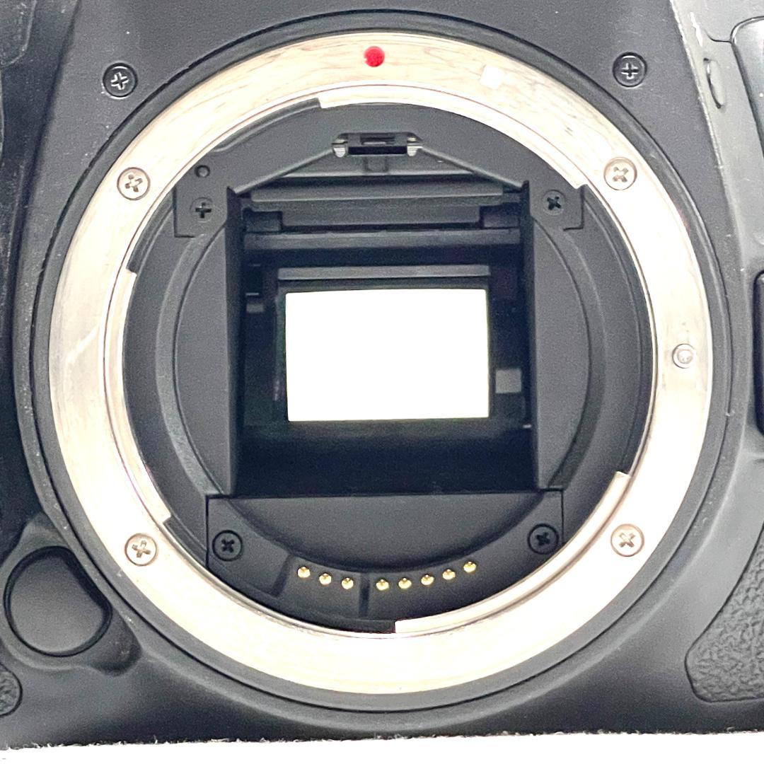 初心者も扱いやすい❣️ Canon EOS 7D Mark II 標準レンズ