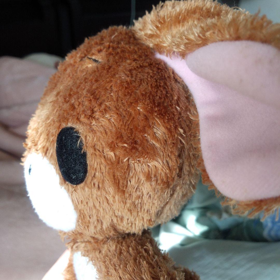 シュガーバニーズ　くろうさ　ぬいぐるみ サンリオ　平成レトロ