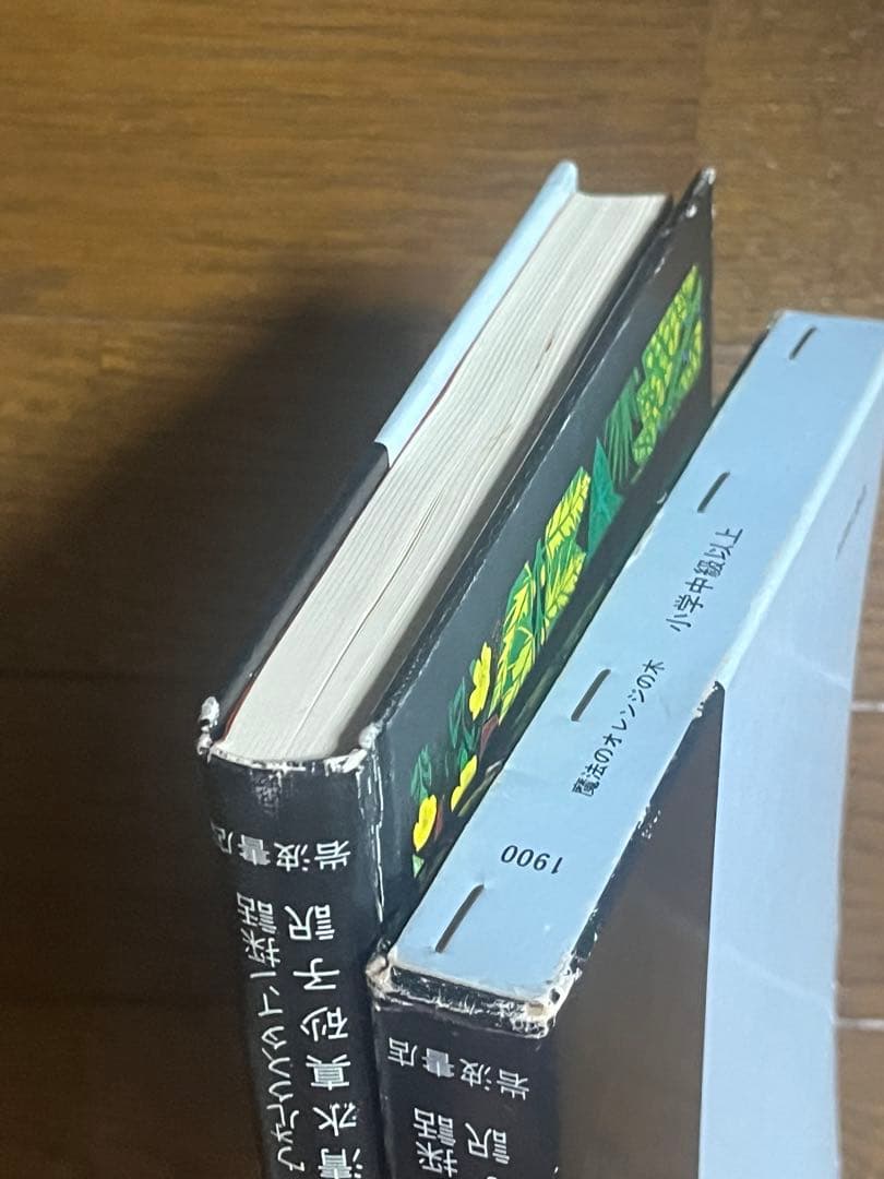 魔法のオレンジの木　ハイチの民話　ウォルクスタイン採話　清水真砂子