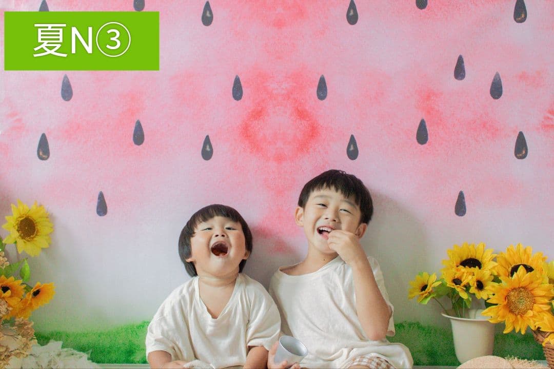 背景布　夏BB➃　ペット撮影用フォトブース　トリミングチョーカー販売中　縦長