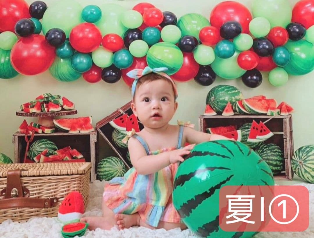 背景布　夏BB➃　ペット撮影用フォトブース　トリミングチョーカー販売中　縦長