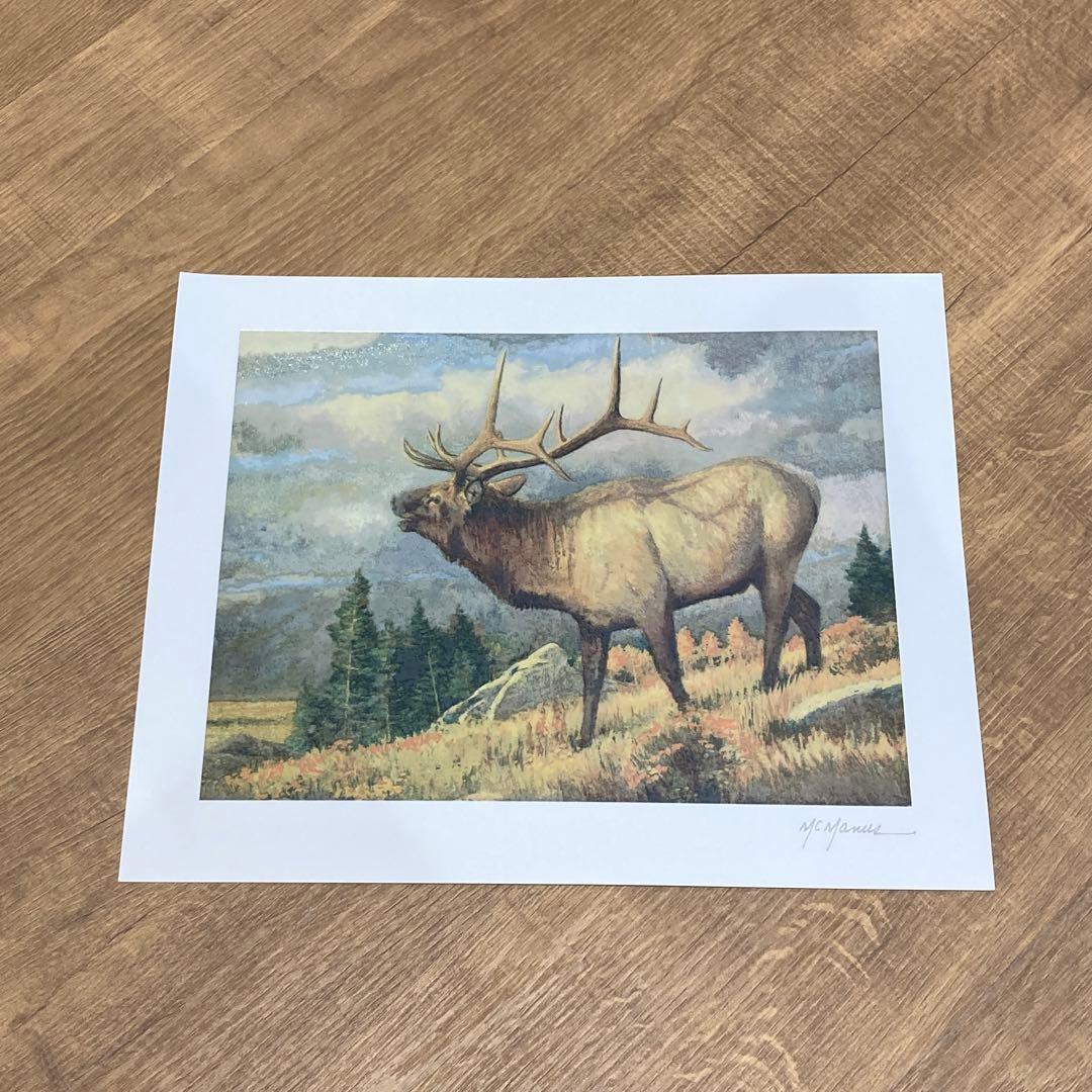 McManus 絵画　イラスト