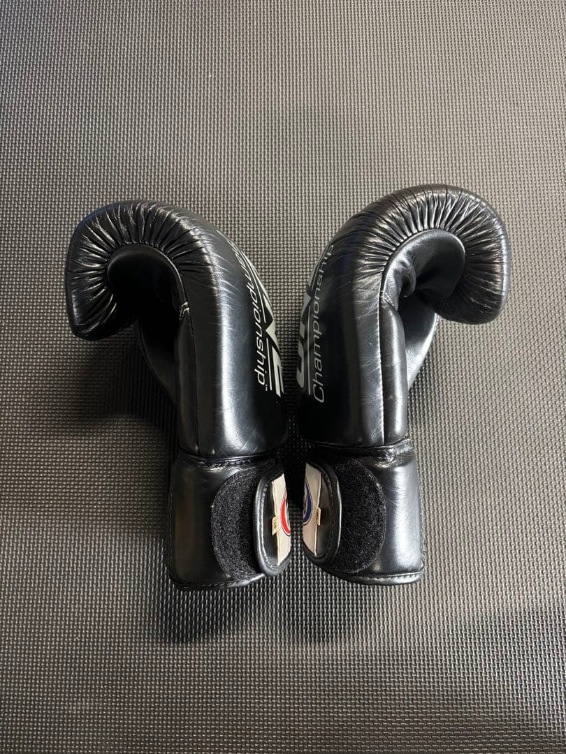 Fairtex ONE Championship ボクシンググローブ 16オンス