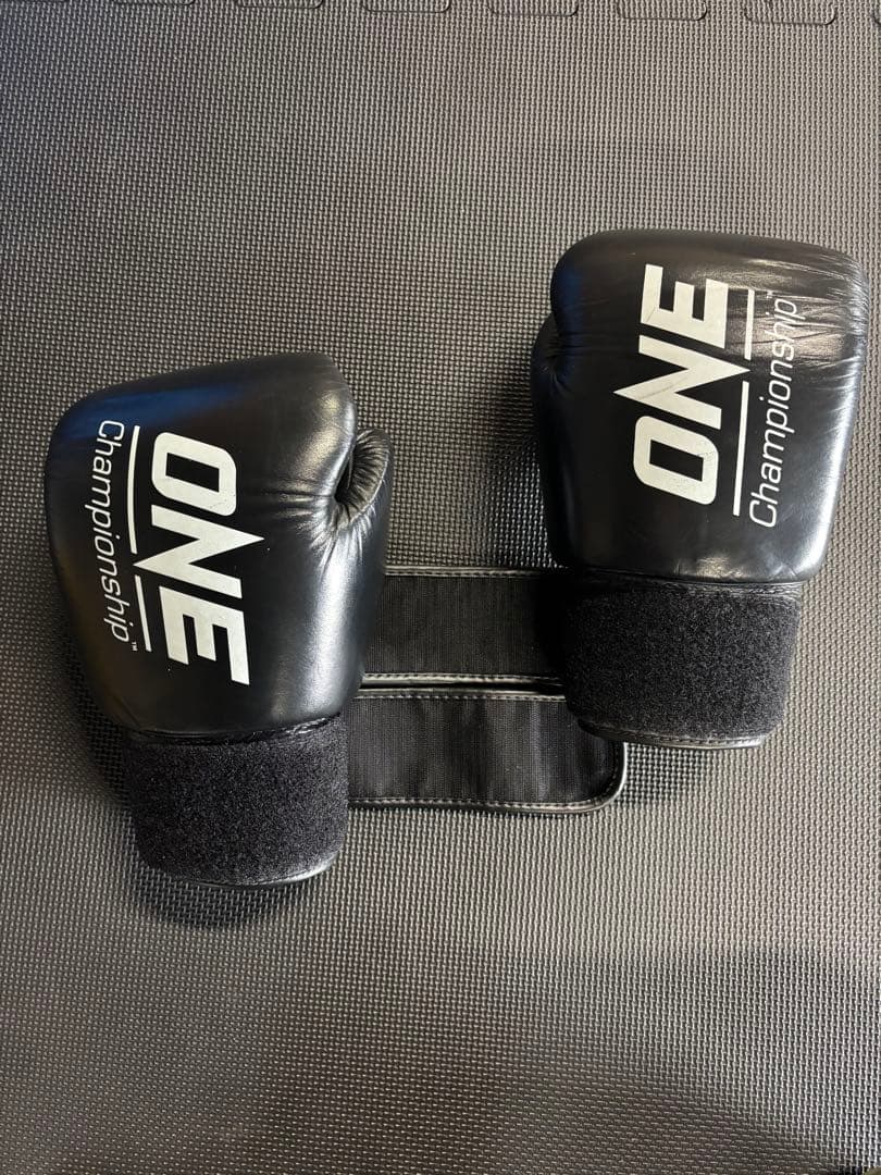 Fairtex ONE Championship ボクシンググローブ 16オンス