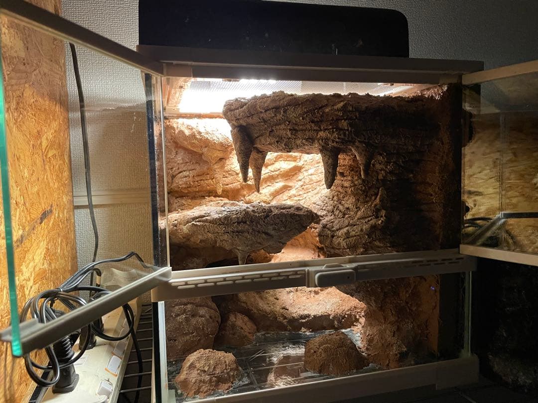 爬虫類レイアウト用品　爬虫類ケージ　ジオスペース