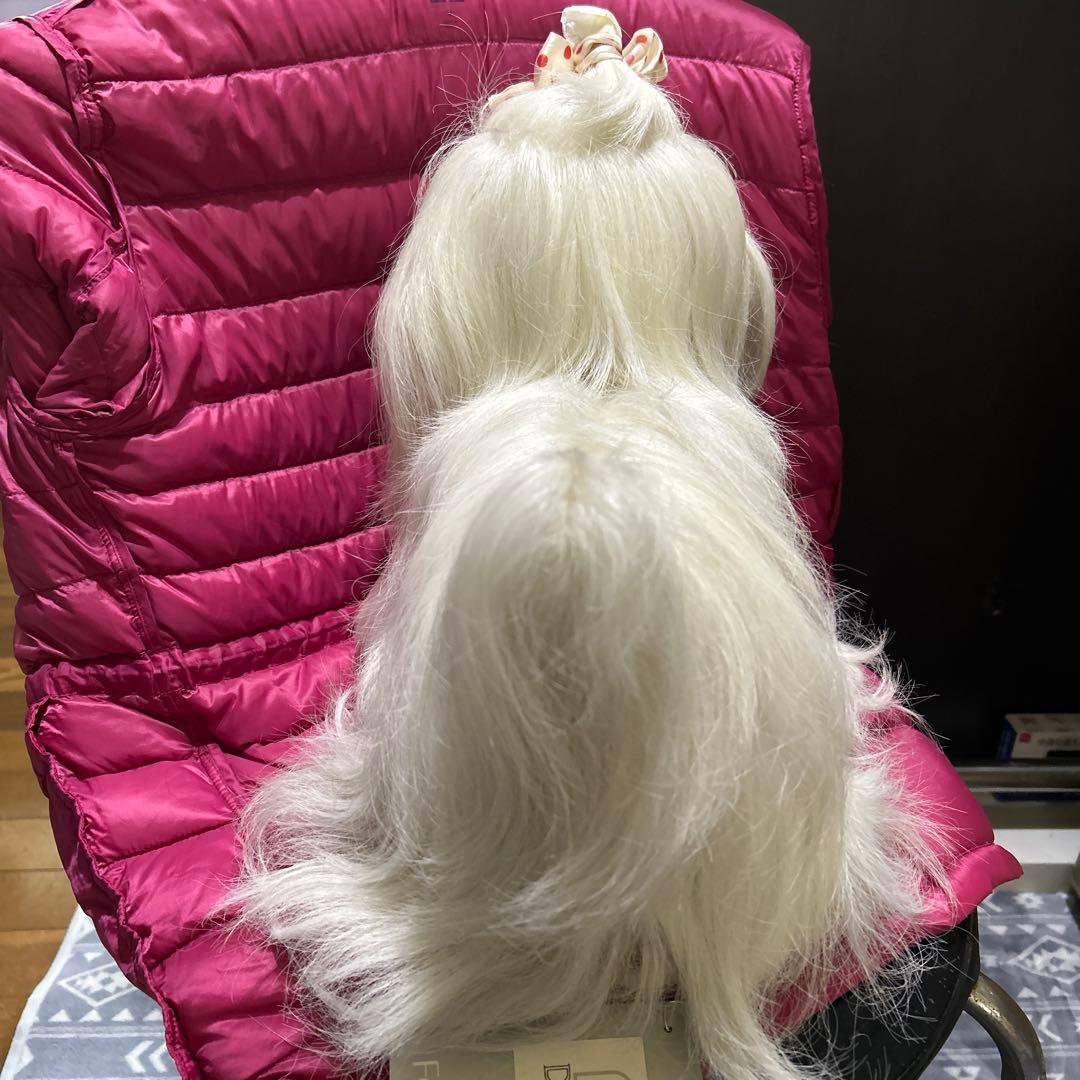 ドレッシーペット　ぬいぐるみ　犬　マルチーズ　タグ付き❣️