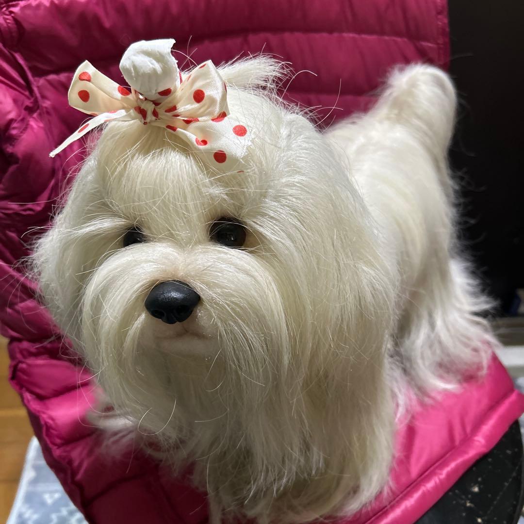 ドレッシーペット　ぬいぐるみ　犬　マルチーズ　タグ付き❣️