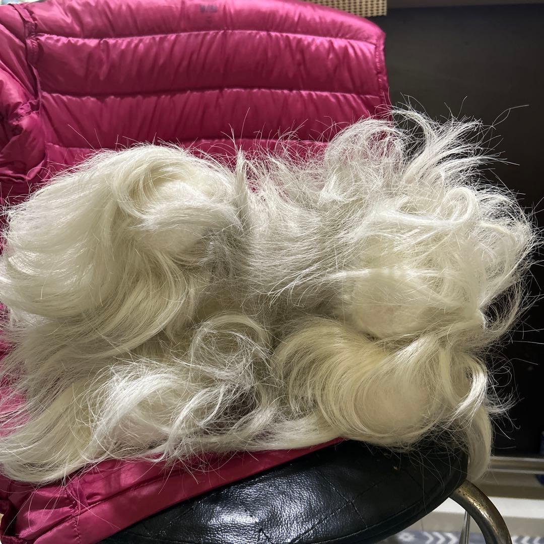 ドレッシーペット　ぬいぐるみ　犬　マルチーズ　タグ付き❣️