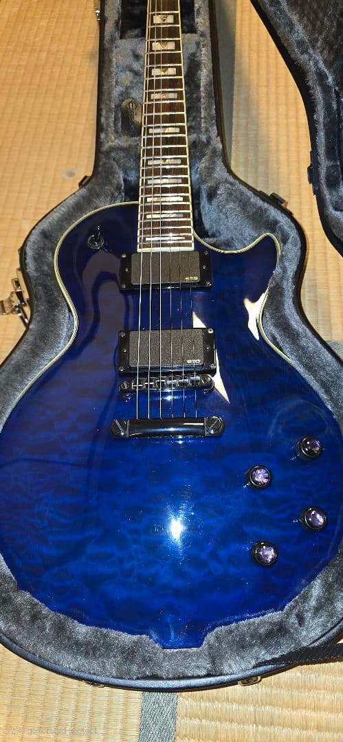 エピフォン Prophecy plus EMGハードケース付