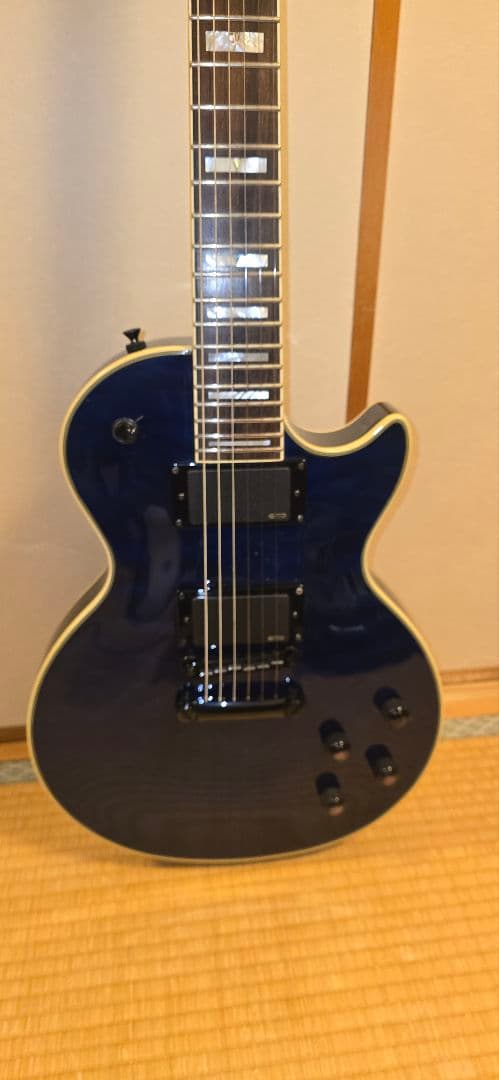 エピフォン Prophecy plus EMGハードケース付