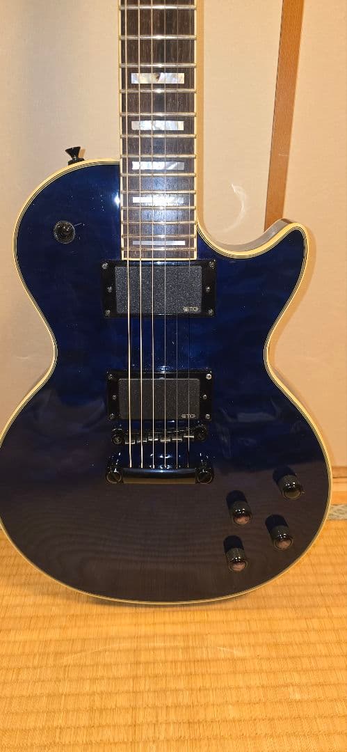 エピフォン Prophecy plus EMGハードケース付