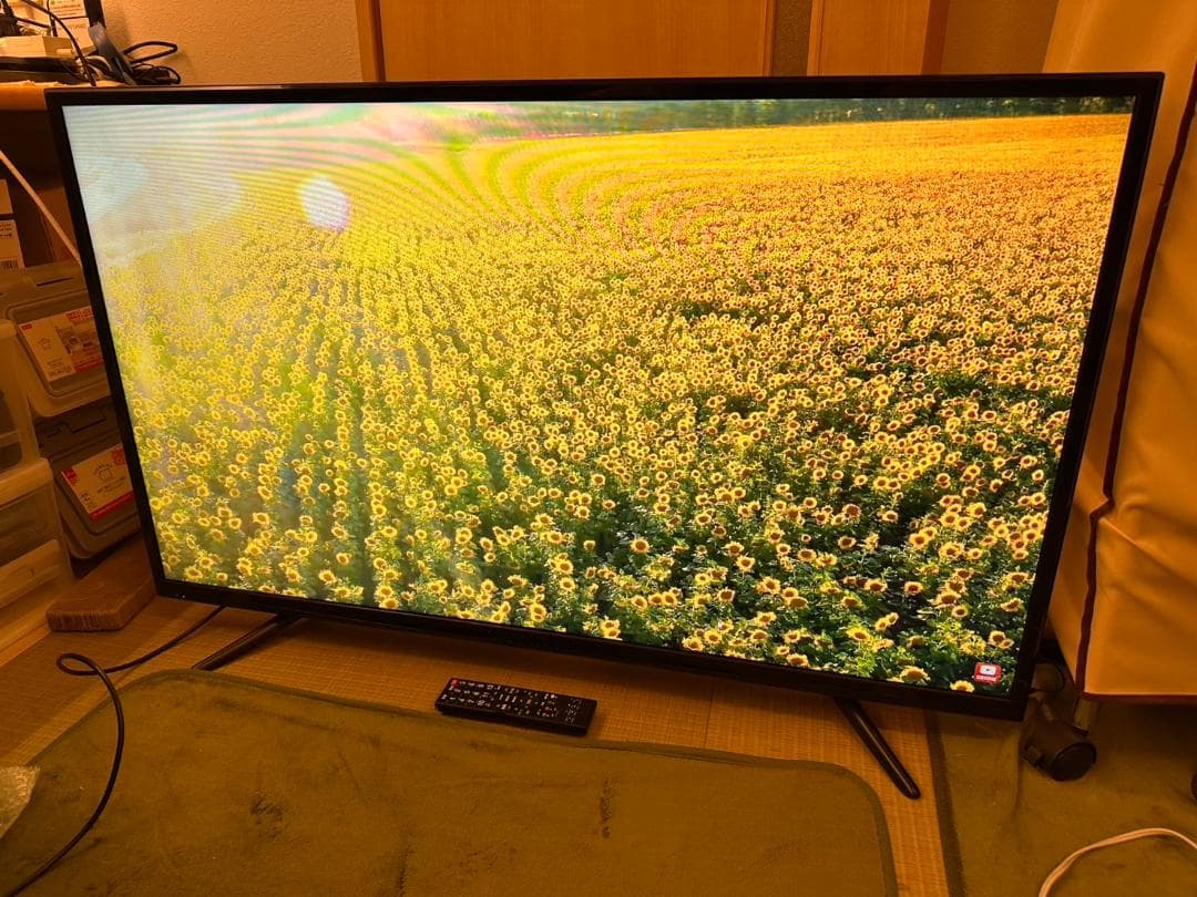 アグレクション 48型　テレビ　TAG-48TV　2019年製　映り綺麗極美品！