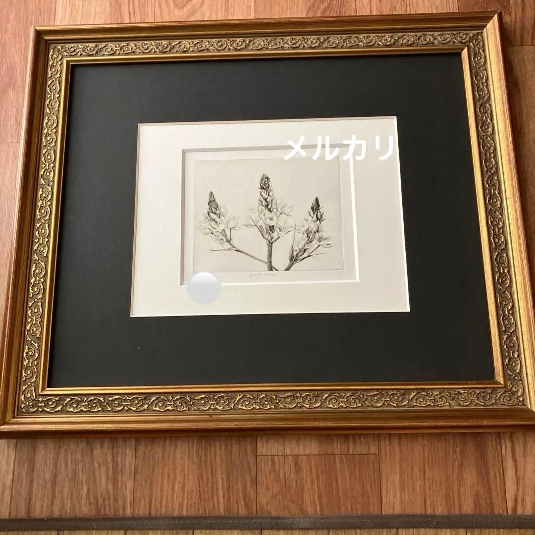 Jakob Demus ダイヤモンドドライポイント技法エッチング　ボタニカル画