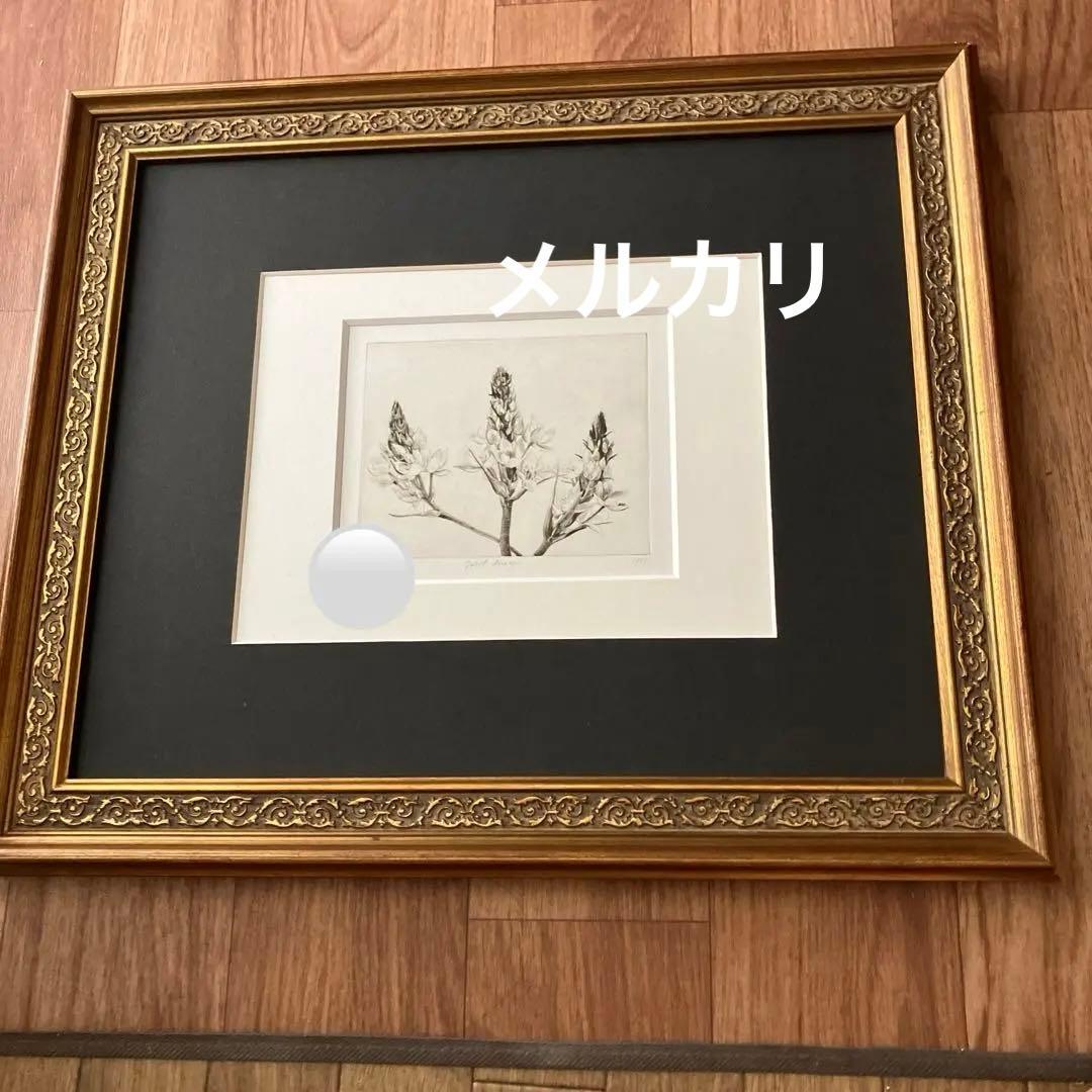 Jakob Demus ダイヤモンドドライポイント技法エッチング　ボタニカル画