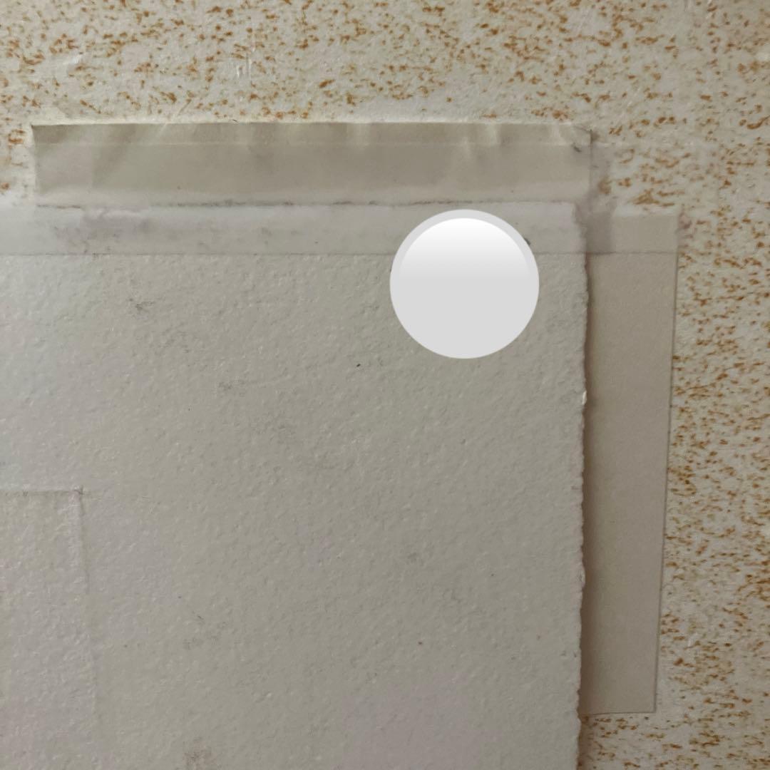 Jakob Demus ダイヤモンドドライポイント技法エッチング　ボタニカル画