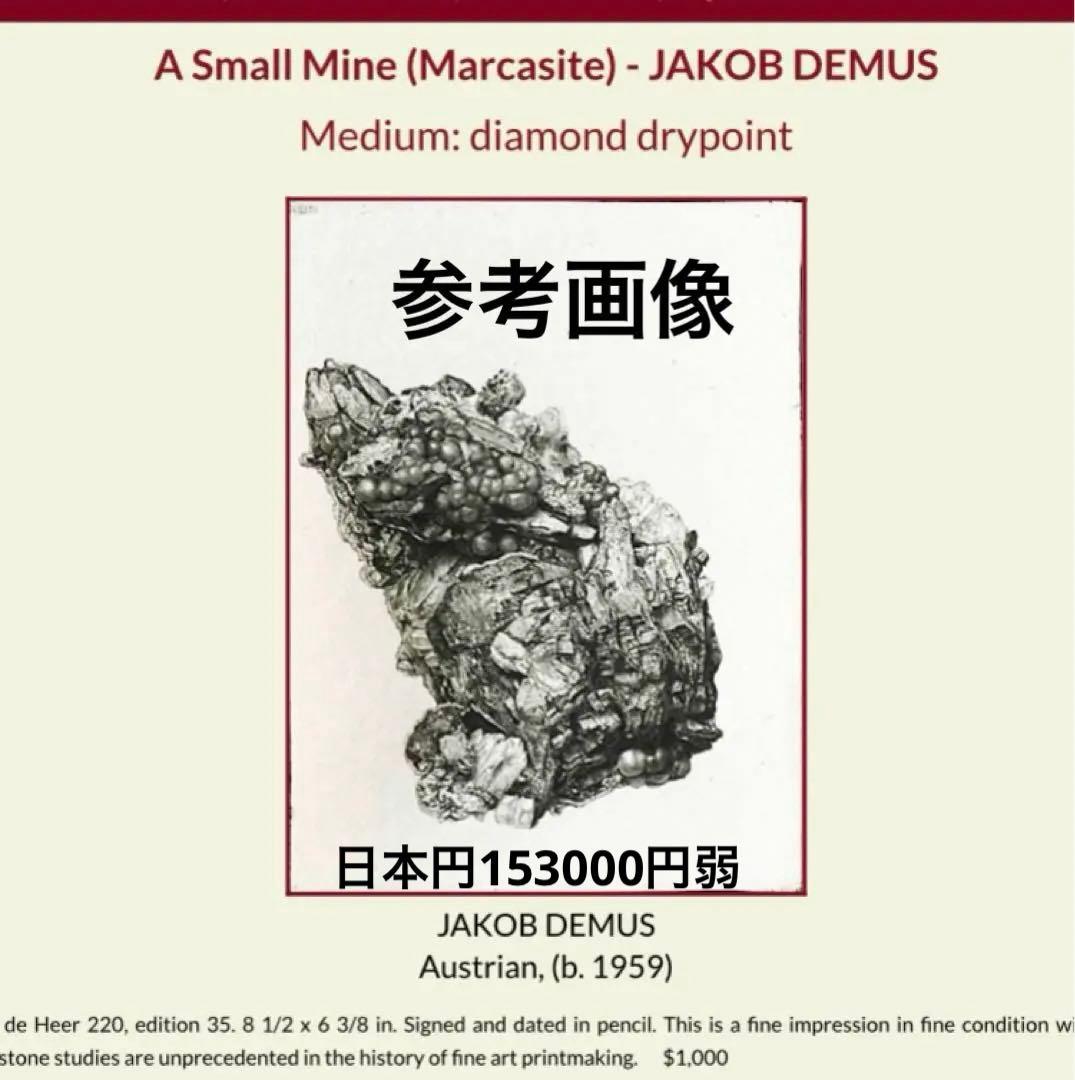 Jakob Demus ダイヤモンドドライポイント技法エッチング　ボタニカル画