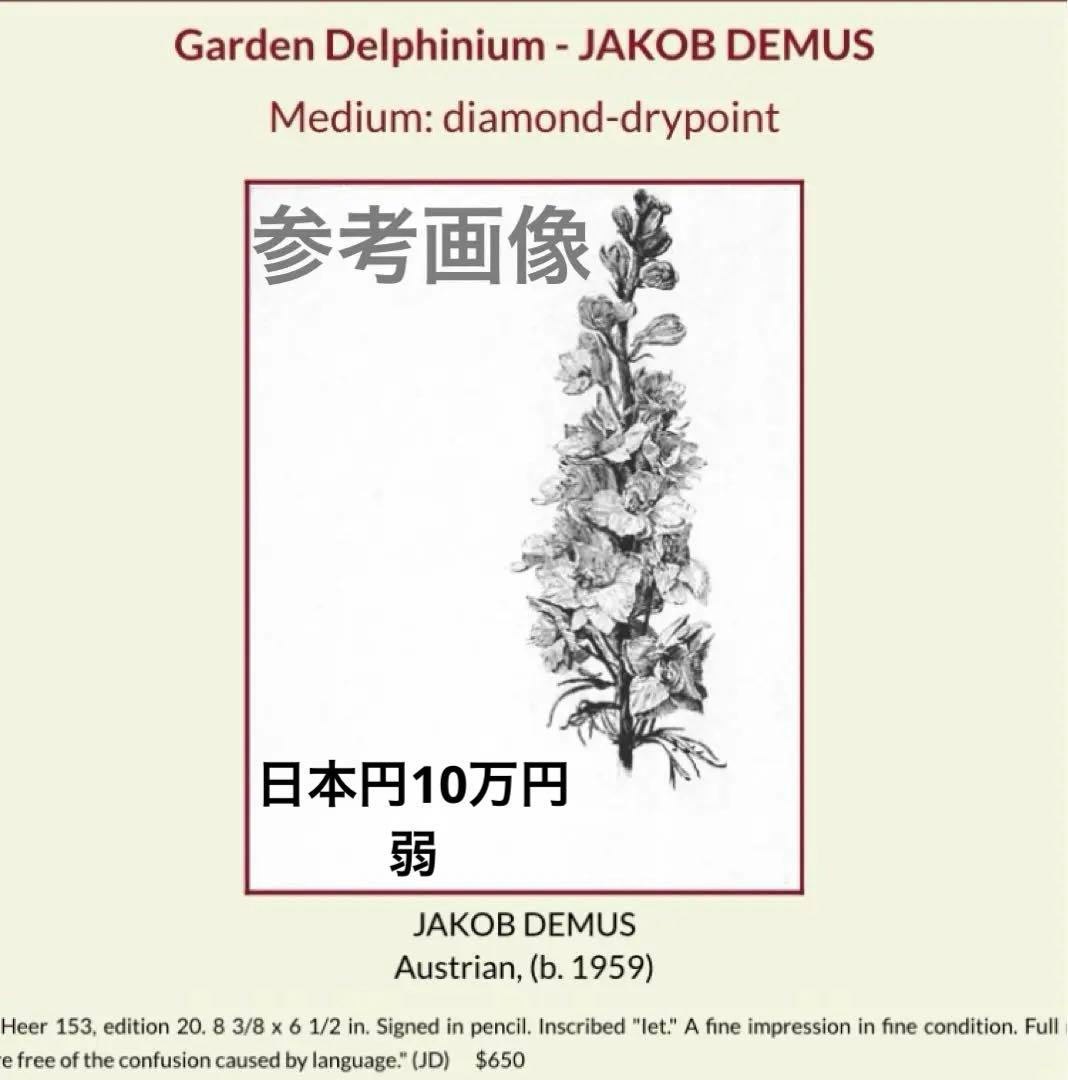 Jakob Demus ダイヤモンドドライポイント技法エッチング　ボタニカル画