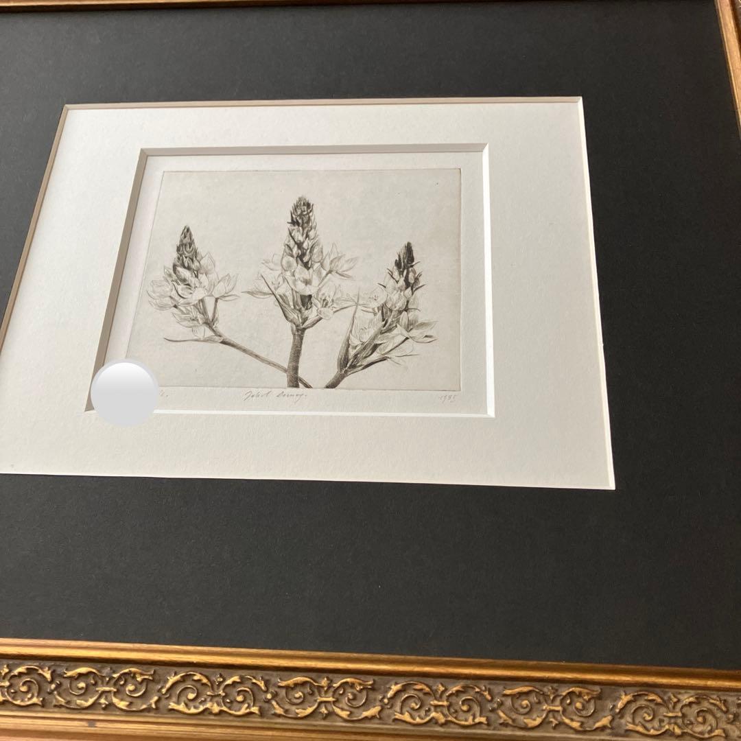 Jakob Demus ダイヤモンドドライポイント技法エッチング　ボタニカル画