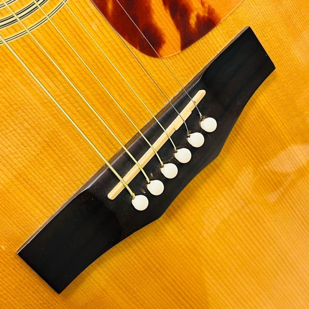 Morris ドレッドノートボディアコースティックギター M-01NAT