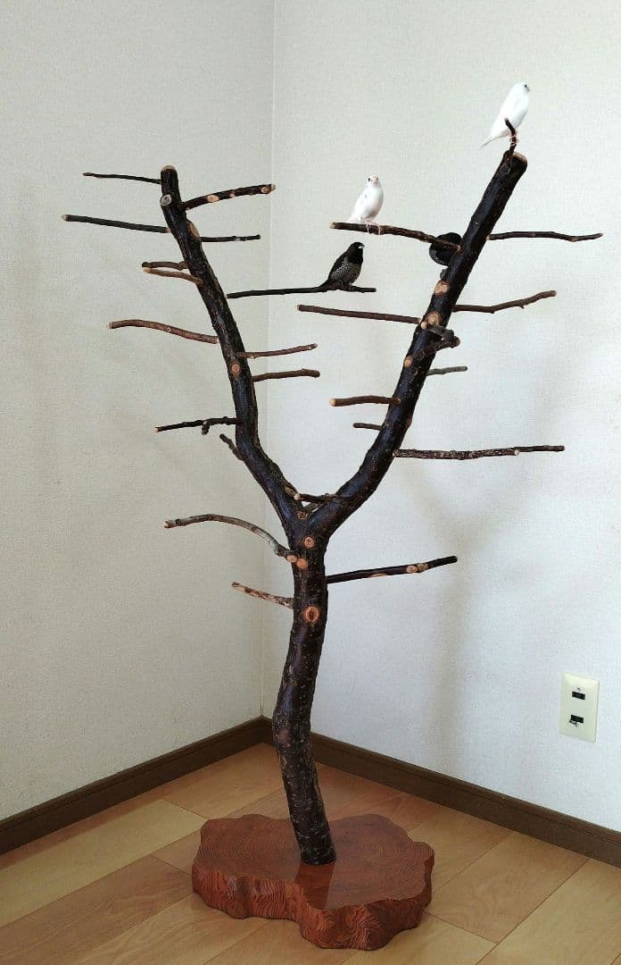 【フィンチ用】梅と桜のフィンチTree バードスタンド