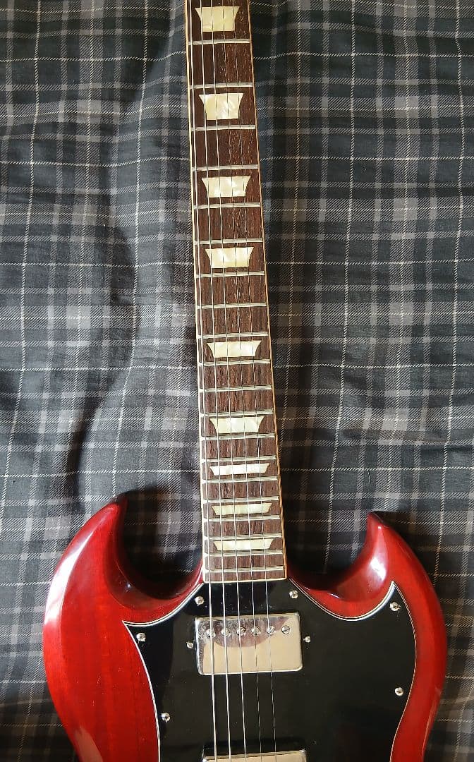 BurnySG-75AY 198's ''Abgus Young'' モデルSG