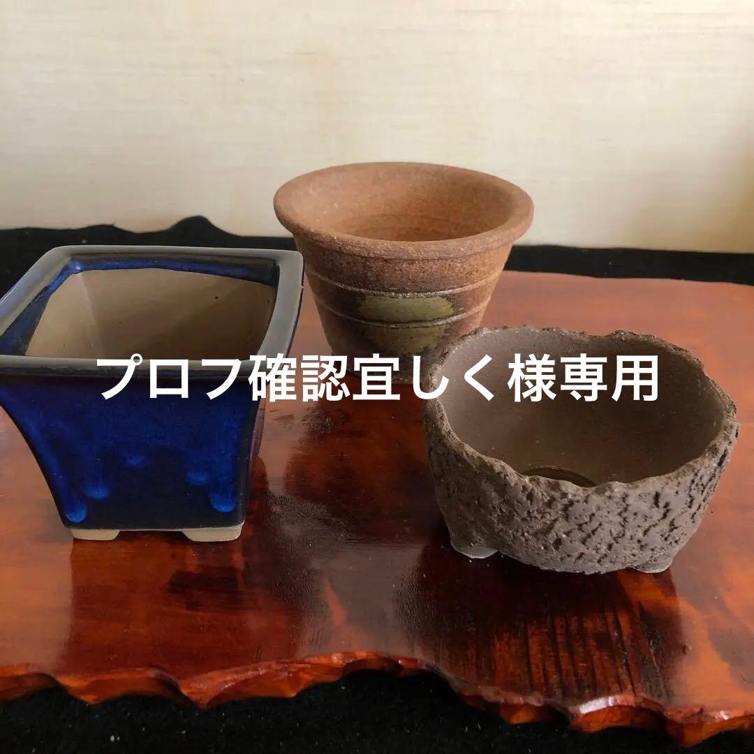 盆栽　山野草　サボテン　多肉植物鉢　4セット(11個)未使用品その他